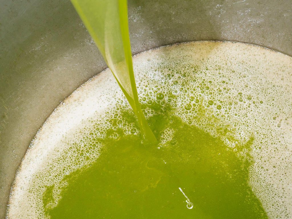 Filtraggio dell'olio extravergine d'oliva Corax nel frantoio