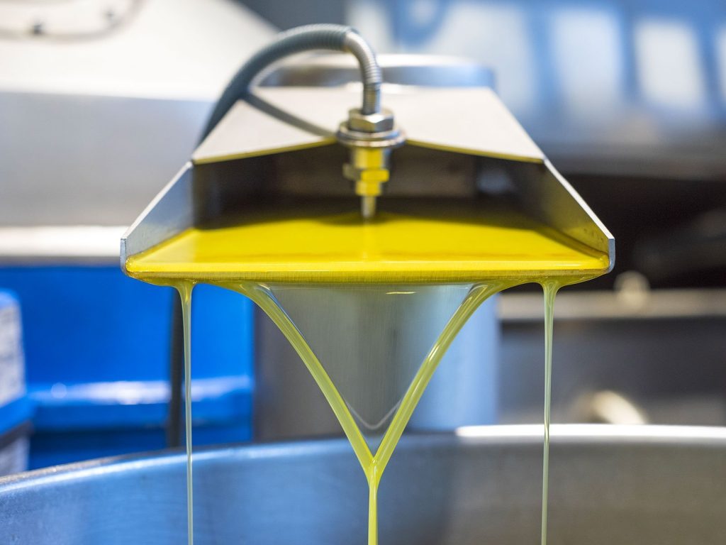 Macchinari in acciaio per la lavorazione dell'olio extravergine d'oliva Corax in frantoio